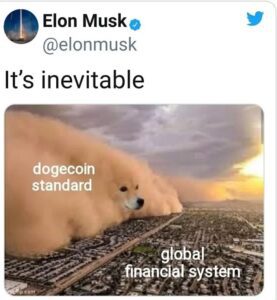 elonmusk inevitable dogecoin standard global financial system 3e6216403b5de6ee 845240ff2c433983